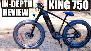 DYU Cycle King750 In-Depth Review