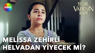 Besime, Metin'i zehirlemek istedi! | Yeşil Vadi'nin Kızı 70. Bölüm