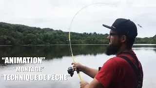 ANIMATION et TECHNIQUE pour PÊCHER  le carnassier ( stickbait, spinner, leurre souple ...)