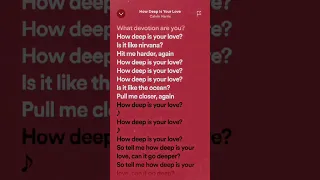 Calvin Harris & Disciples: How Deep Is Your Love (Speed Up) | #Lyrics