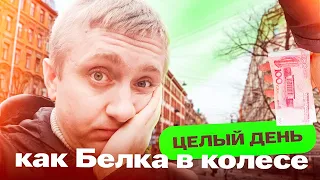 Сумасшедший  день Коршуна. Как я успеваю столько много сделать. Покупка ЮАНЕЙ.