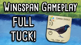 Wingspan Gameplay | Full Tuck is the way!