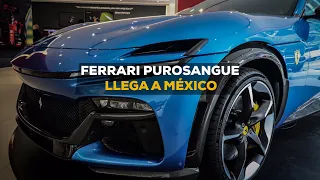 Ferrari Purosangue 2024 en Mexico (sonido y detalles)