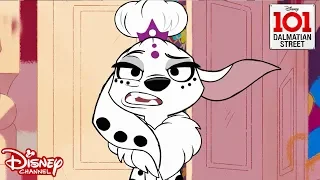 👑My Fair Dolly | 101 Dalmatian Street | Disney Channel Africa