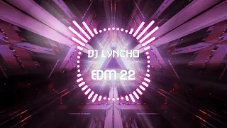 Festival Mainstage EDM 22, DJ LYNCHO