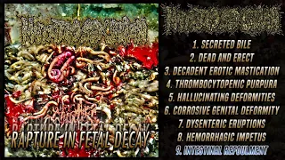 Mutated Sex Organ - Rapture in Fetal Decay (Full Album) (2022 - Grindcore)