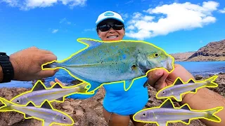 Best Live Bait for Shore Fishing in Hawaii | Whipping Fishing in Hawaii | Hawaii Fishing | Oama Bait