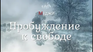 Муджи - Пробуждение к свободе [Nikosho]