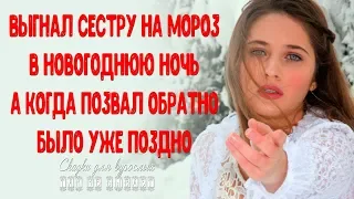 Выгнал сестру на мороз в Новогоднюю ночь, а когда позвал обратно, было поздно