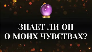 🔮💖 ТАРО ОНЛАЙН: Знает ли ОН о моих ЧУВСТВАХ? 🔮