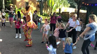 The fun kids dance party at Disney’s Animal Kingdom