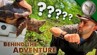 Why I Let a Snapping Turtle Bite Me