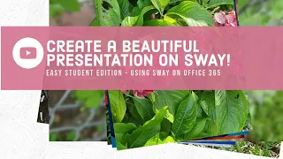 Create a BEAUTIFUL PRESENTATION on SWAY / Easy student edition using Sway on Office 365