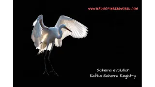 Schema Evolution with Kafka Schema Registry