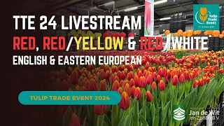 Livestream - TTE 24 - Red, Red/Yellow & Red/White