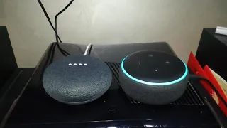 Dialogo tra Alexa e Google Home Mini