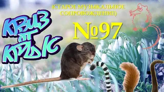 КВИЗ от КРЫС эпизод 97 (старое музыкальное сопровождение)