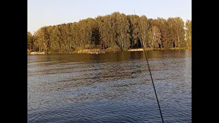 Рыбалка 29.07.23 Белоярское водохранилище, окунь на спиннинг