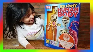 SQUISHY Human Body Skeleton Toy Review - educational toys for kids (episode 47)