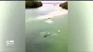 Hungry croc chases unsuspecting swimmer in Mexico, Fox News