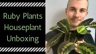Ruby Plants Houseplant Unboxing | Prayer Plant, Pilea Peperomioides, and more!