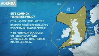 EU fishing future after Brexit