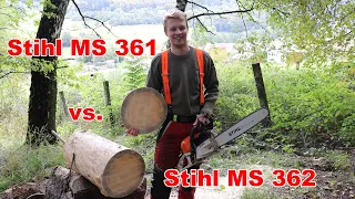 Stihl MS 361 vs Stihl MS 362 | Schnittvergleich | HBNB Motorsägen