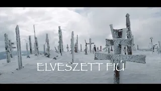 Ezüst Sólyom-Elveszett fiú