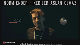 Norm Ender - Kediler Aslan Olmaz (Engin Öztürk Deep House Remix)