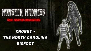 KNOBBY - THE NORTH CAROLINA BIGFOOT