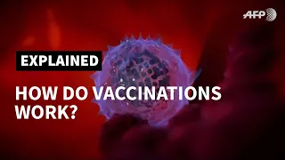 How do vaccines work? | AFP