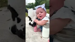 Best friends forever #shorts #cow #baby #friendship #friends