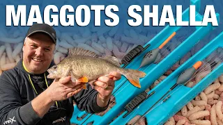 Maggot Shallow Rig | No Nonsense Guide | Jamie Hughes