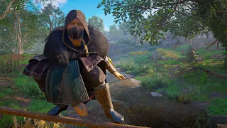 Assassin's Creed Valhalla Stealth Kills and Brutal Cinematic Combat Magister's Armor Set Gameplay