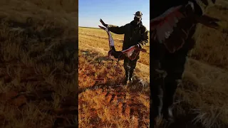 Geese hunting in South Africa  May-2018