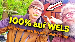 WELS angeln mit verschiedenen MONTAGEN | Wels-Camp '24 (Teil 1)