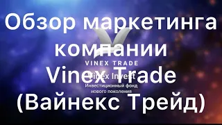 Обзор маркетинга в компании Vinex Trade (Вайнекс Трейд)