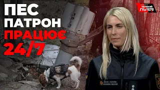 Собака-сапер Патрон завітав до Львова
