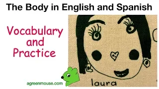 Parts of the Body in Spanish and English