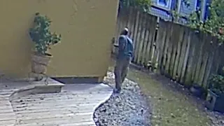 Surveillance video shows burglar at vacationing resident's house