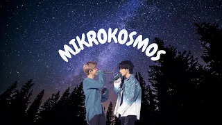 VMIN's Soundtrack - Mikrokosmos  | BTS (방탄소년단) Jimin And Taehyung Are Soulmates