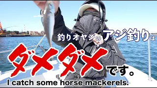 Middle-aged Anglers Wish to Fish for Horsemackerel