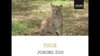 TOUR - JOBURG ZOO
