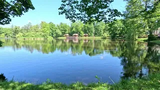 Church Pond in Zwierzyniec | Video 7