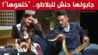 #شعبون بطل سلسلة #مسعود_ومسعودة يفاجئ ملكة جمال الجزائر بثعبانين في البلاطو.. شاهد ردة فعلها:😂🤣