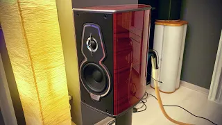NEW Sonus faber GUARNERI G5 [4Kᵁᴴᴰ] with Accuphase E-380