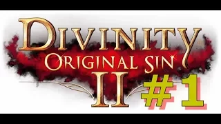 Divinity: Original Sin 2 - #1 The Journey Begins