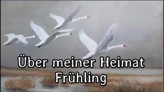 Freigeisterbund - Über meiner Heimat Frühling [Live Recording][+ English Translation]