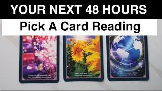 Your Next 48 Hours ⏳✨Pick A Card Timeless Psychic Reading ✨