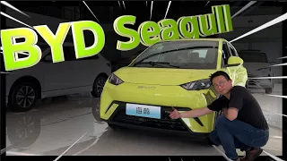 Is this Tiny Lambo?? Most affordable BYD Electric car in China!! BYD Seagull review!!